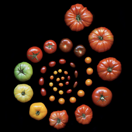 Github Pan Sol Pan Sol Pipelines - Premium Dark Pattern Gallery - 8K