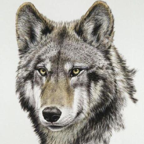 Issues Tairikuookami Windows Github - Best Sunset Textures in 4K