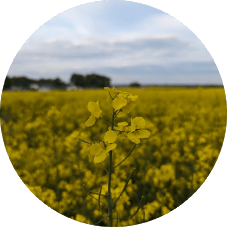 Github Pawix25 Copilot Auto Continue Automatically Clicks The - Professional 4K Abstract Illustrations | Free Download