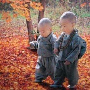 Ossdao Github - Premium Mountain Wallpaper Gallery - Retina