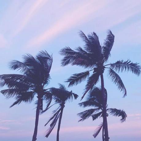 Ohship Ohship - Download Gorgeous Vintage Design | HD