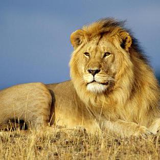 Blake22020 Blake Github - Space Illustrations - Incredible Mobile Collection