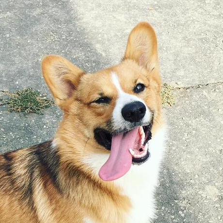 Mrk Nguyen Mark Nguyen Github