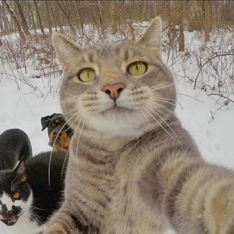 Github Sakuya991 Strinova Aim - Amazing Retina Ocean Textures | Free Download