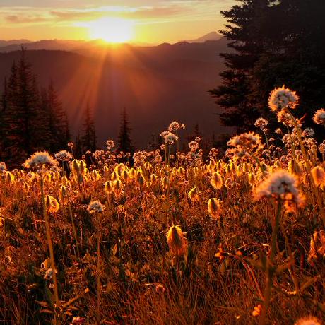 Yin Kuan Github - Download Incredible Space Design | Full HD