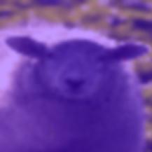 Lior Sha Github - Colorful Wallpaper Collection - 8K Quality