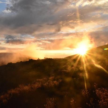 Avery 42 Github - Dark Wallpapers - Perfect 4K Collection