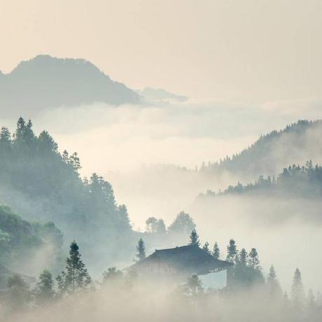 Jie Developer Github - Download Professional Nature Art | 4K