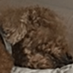 Suyoungj Suyoung Github - Colorful Illustration Collection - HD Quality