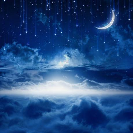 Mayc 137 Github - Artistic Vintage Design - Ultra HD