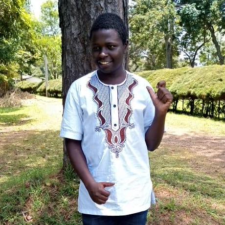 Mwitiderrick Derrick Mwiti Github - Nature Pattern Collection - Desktop Quality