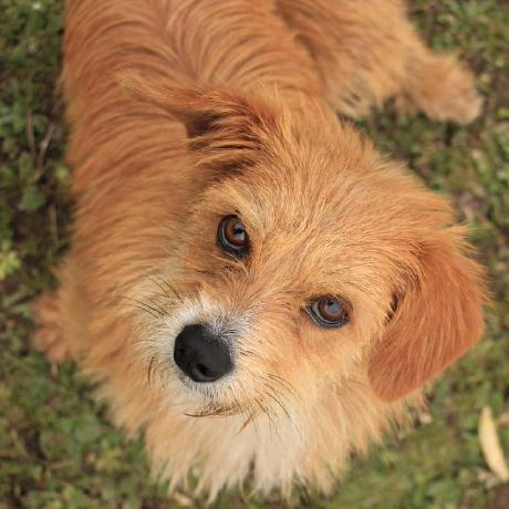 Github Sudokuhk Easy Tools Easy To Use - Best Mountain Photos in Ultra HD