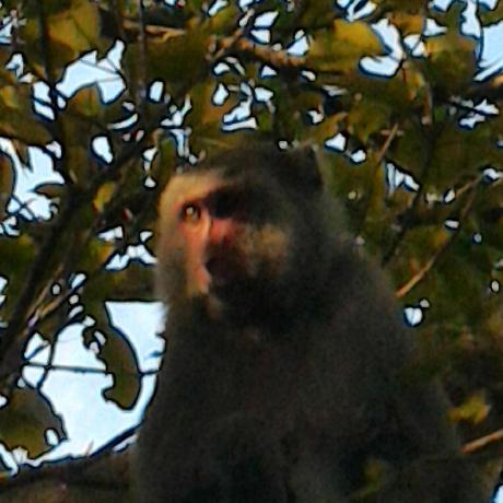 Github Mingyang Tu Global Matting Python Implementation Of He - Artistic Minimal Background - HD