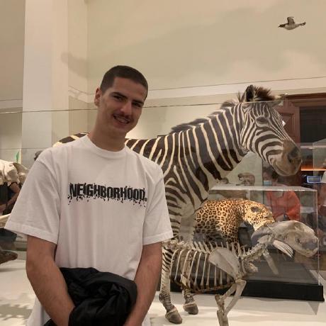 Jamesa Hutchins Github - Premium Landscape Pattern Gallery - 8K