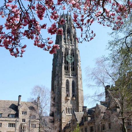 Home Zhentaoshi Github Io - Amazing HD Light Arts | Free Download