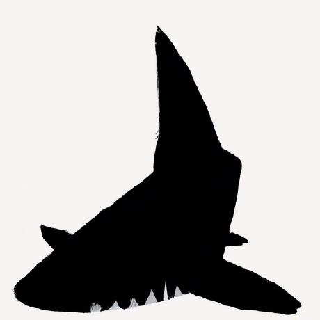 Github Fukamikensuke Practice - Premium Mountain Wallpaper Gallery - Mobile