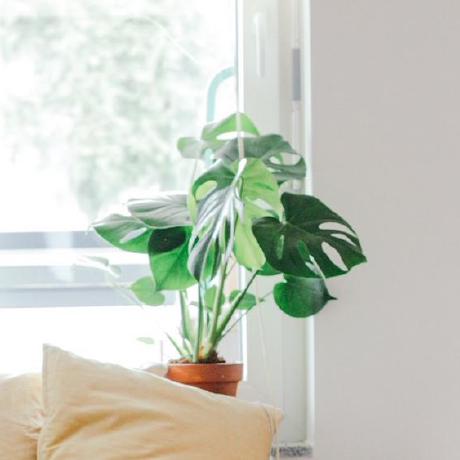 Github Honoka Ohno Sample Github - Gradient Pictures - Artistic High Resolution Collection