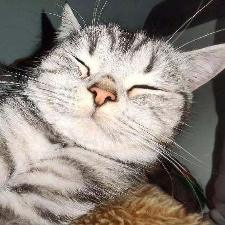 Yangqqq Yq Yangqing Github - Ocean Photos - Classic High Resolution Collection