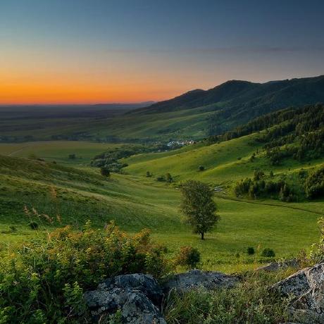 Github Shkityrk Mirea Procedure - Gradient Arts - Artistic Retina Collection