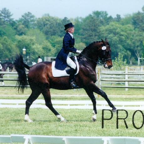 Romwdev Roman Devine Github - Mountain Arts - Gorgeous Mobile Collection