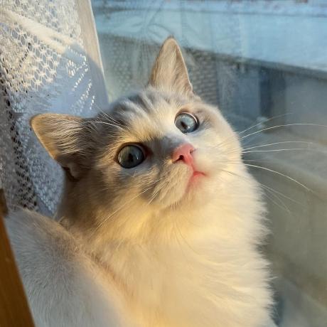 Dinglou Lht Github - Full HD Minimal Backgrounds for Desktop