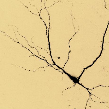 Terrywarwick Terry Warwick Github - Premium Geometric Photo Gallery - 4K