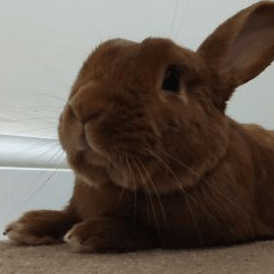 Github Advpro4 C92 Sa - 8K City Illustrations for Desktop