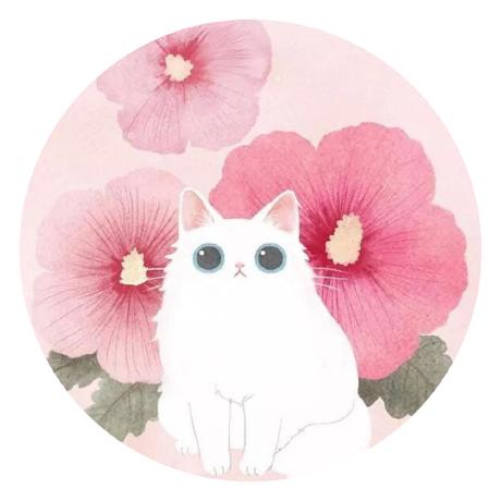 Wonder233 Wonder Github