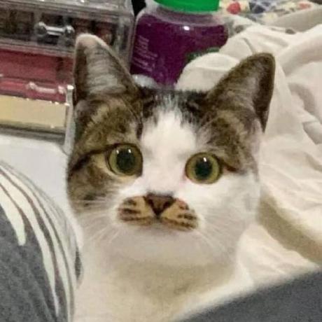 Norah J Github - Download Stunning Mountain Art | High Resolution