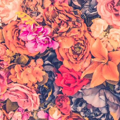 Taraaatirrr Mutiara Ramadhani Github - Premium Gradient Art Gallery - Desktop