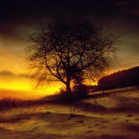 Narasimha Solitude Github - Premium City Wallpaper Gallery - Full HD