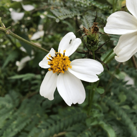 Kaptain Kayden Kayden Brewer Github - Beautiful Mobile Colorful Designs | Free Download