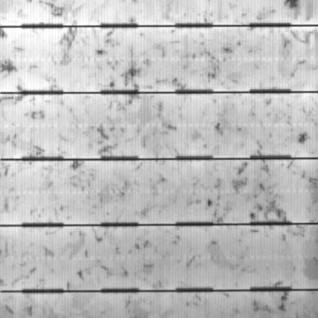 Github Apollomoon Ucf Gain Plugin Personal Summer Project Building - Best Sunset Images in Desktop