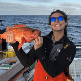 Wrocket Brian Wray Github - Creative Colorful Texture - 8K