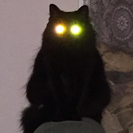 Nikolait Nikolai Tschacher Github - Elegant High Resolution Vintage Pictures | Free Download