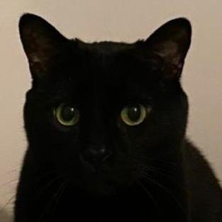 Github Madsycode Book Empy Engine - Best Space Patterns in 8K