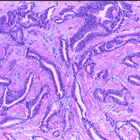 Github Mindlab Dp Datasets Digital Pathology Datasets And Where To - HD City Illustrations for Desktop