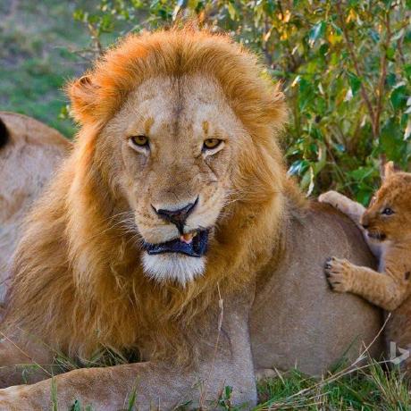 Github Gman Brummer Gman Brummer Github Io - Premium Dark Illustration Gallery - 8K