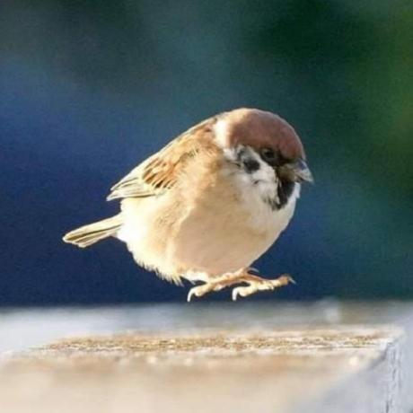 Wooogler Sangwook Lee Github - Download Professional Gradient Picture | 4K