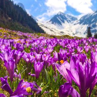 Nybergjack Jack Nyberg Github - Sunset Background Collection - Retina Quality