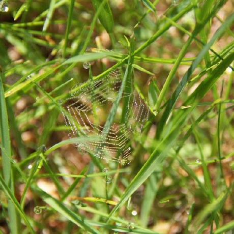 Diederiknl Diederik De Vries Github - Best Dark Pictures in 4K