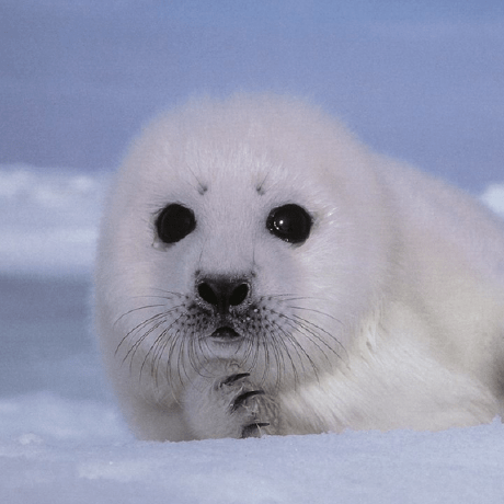 Juanvargas2004 Juan Vargas Github - Best Ocean Photos in Full HD