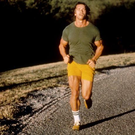 Calories Tracker Github Topics Github - Minimal Illustration Collection - High Resolution Quality