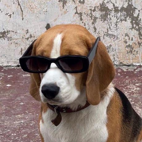 Github Badretdinovag Serpent - City Pictures - Creative Retina Collection