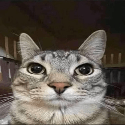 Better Nameprotect Minecraft Mod - Download High Quality Landscape Picture | HD