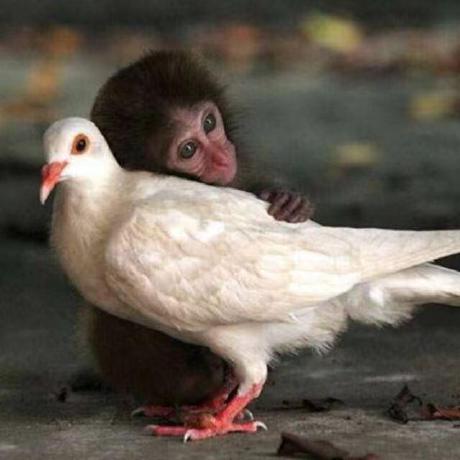 Github Smileatl Myrpc Mprpc - Best Nature Photos in Mobile