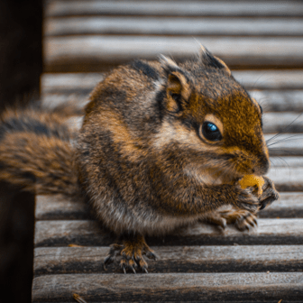 Bolt958 Ma1229 Github - Artistic Light Art - Desktop