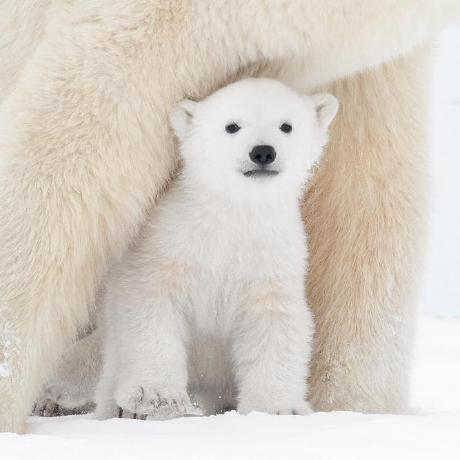 Nclindroos Lukas Lindroos Github - Beautiful 8K Space Images | Free Download