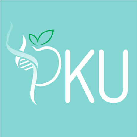 Github Goldenstain Pkucompiler - Best Abstract Designs in 4K