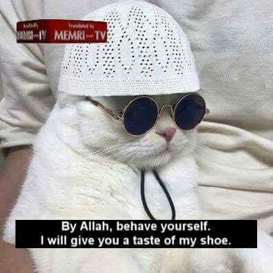 Github Zhaoyuesun Phee - 4K Vintage Patterns for Desktop